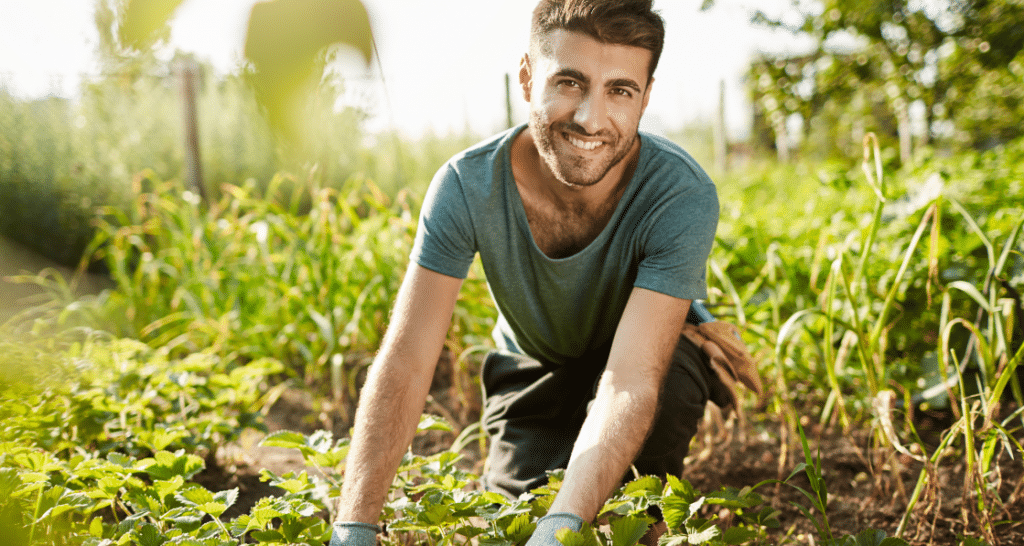 Choisir Un Bon Paysagiste : Comment Bien S'y Prendre