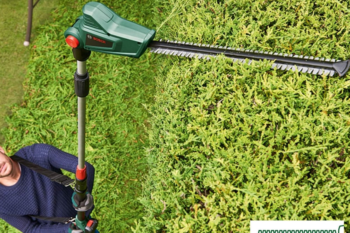 taille-haie télescopique