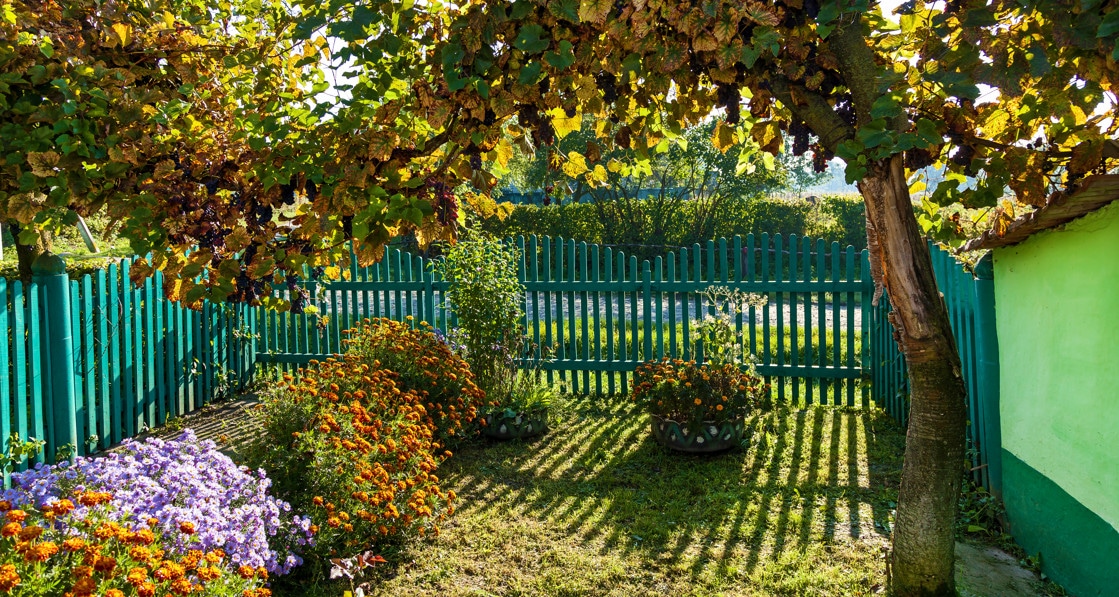Quelle clôture de jardin choisir